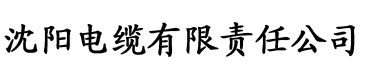 91香蕉视频污污污电缆厂logo